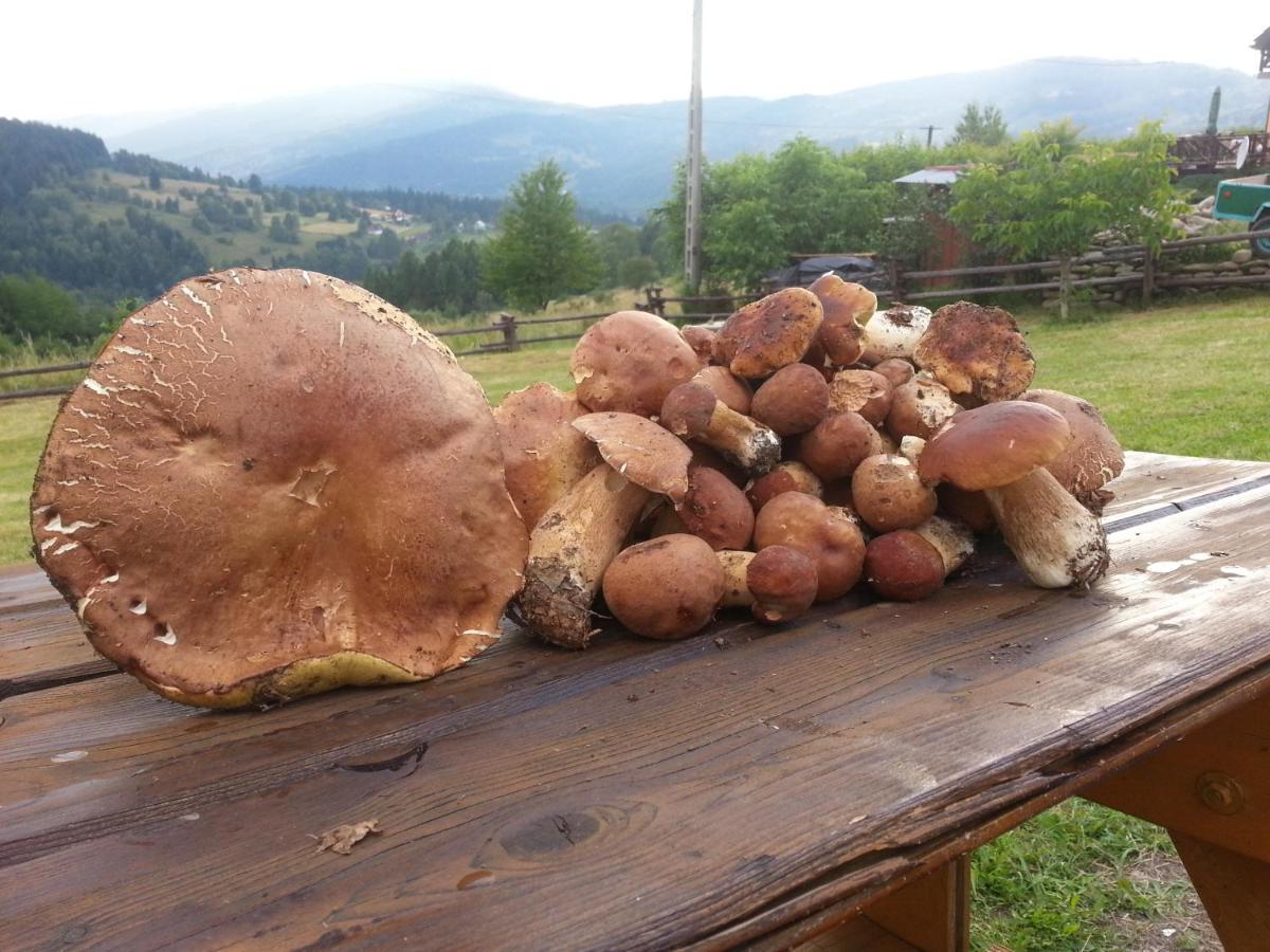 Babia Chata Завоя Екстериор снимка